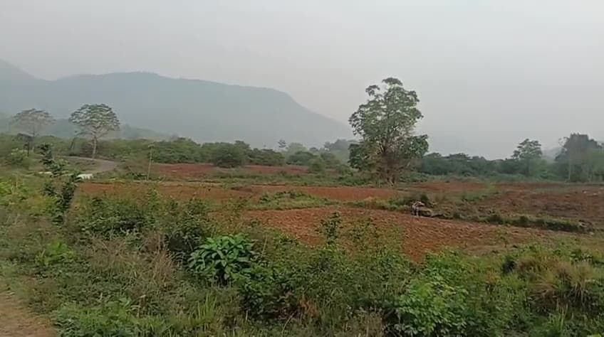 Red ploughed earth and scattered trees, with forested hills in the hazy distance.