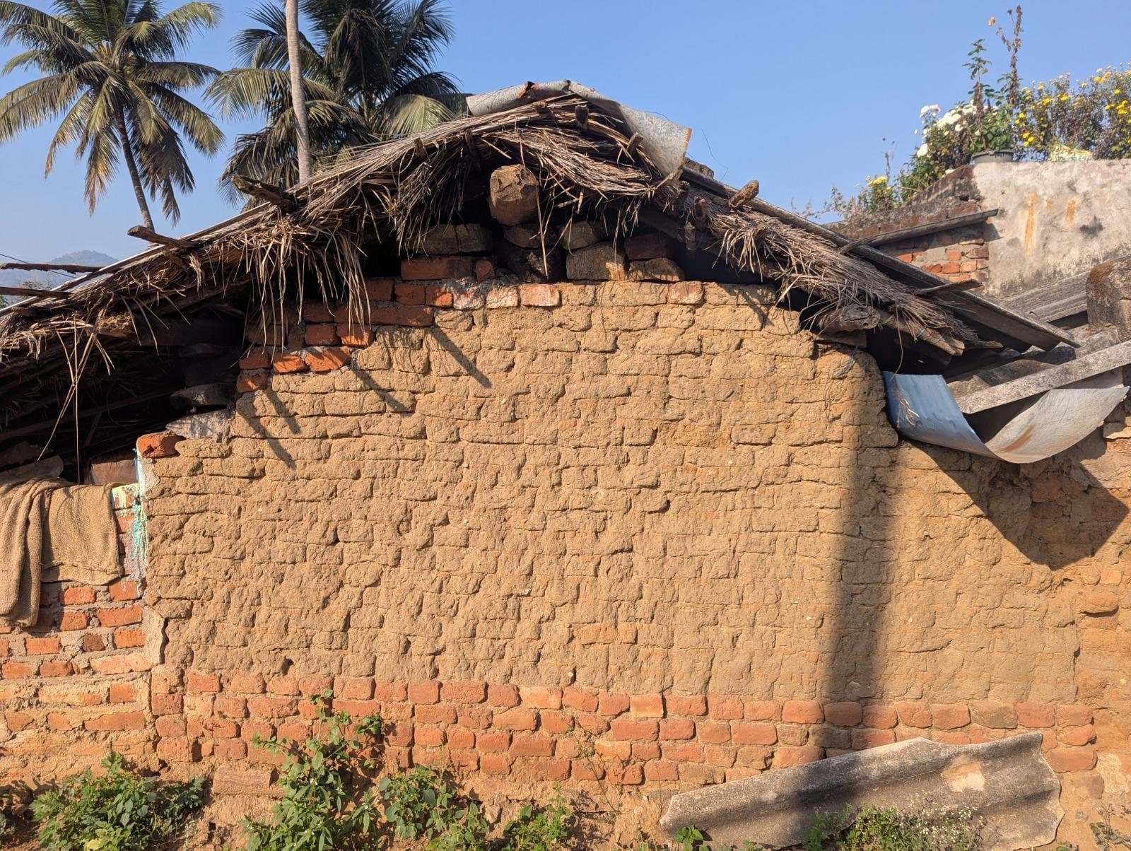A wall of sun-dried mud bricks with a thatched roof edge, under coconut palms and blue sky.