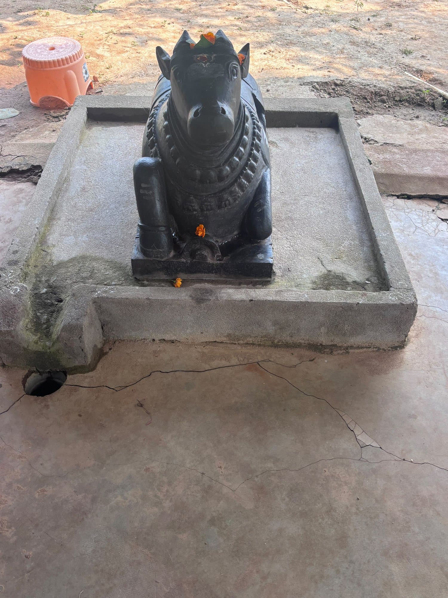 A black stone Nandi seated on a raised square stone platform, marked with kumkum and a single marigold.
